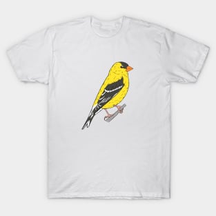 Spinus tristis - American Goldfinch T-Shirt